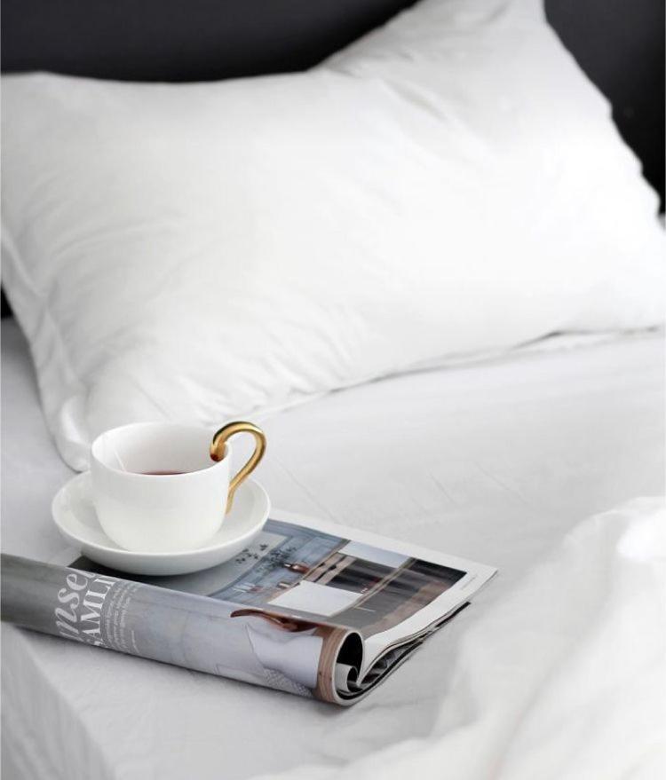 The Queen Airport Hotel-Round Trip Airport Service Arnavutkoy 外观 照片